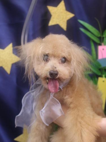 20230716モカくん